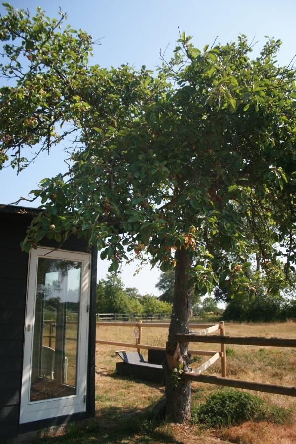 Falsterly Glamping Horbelev Exterior photo
